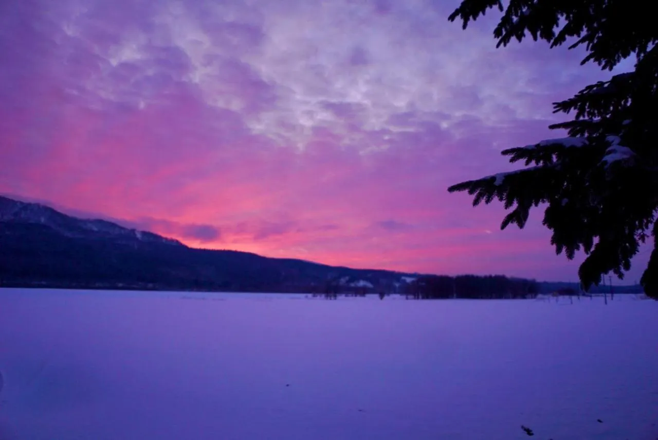 Blueberryhouse音威子府村 Otoineppu 0*,  Japonia